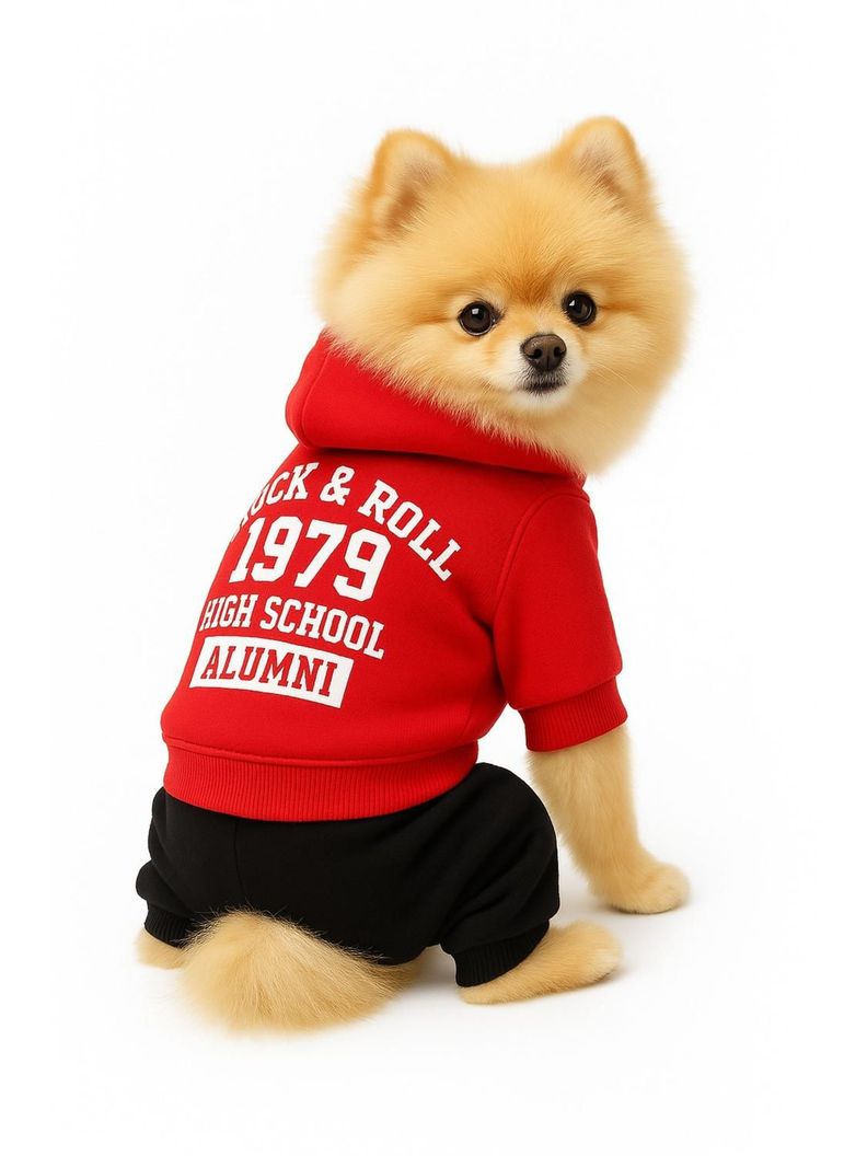 Ropa para mascota Rock polar Talla L 35x22 CM-0