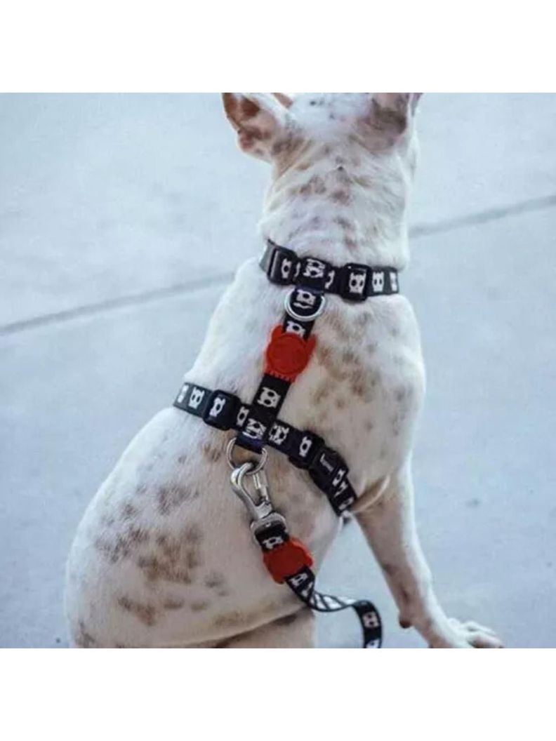 Arnes Zee Dog reforzado y ajustable para perros XS-2