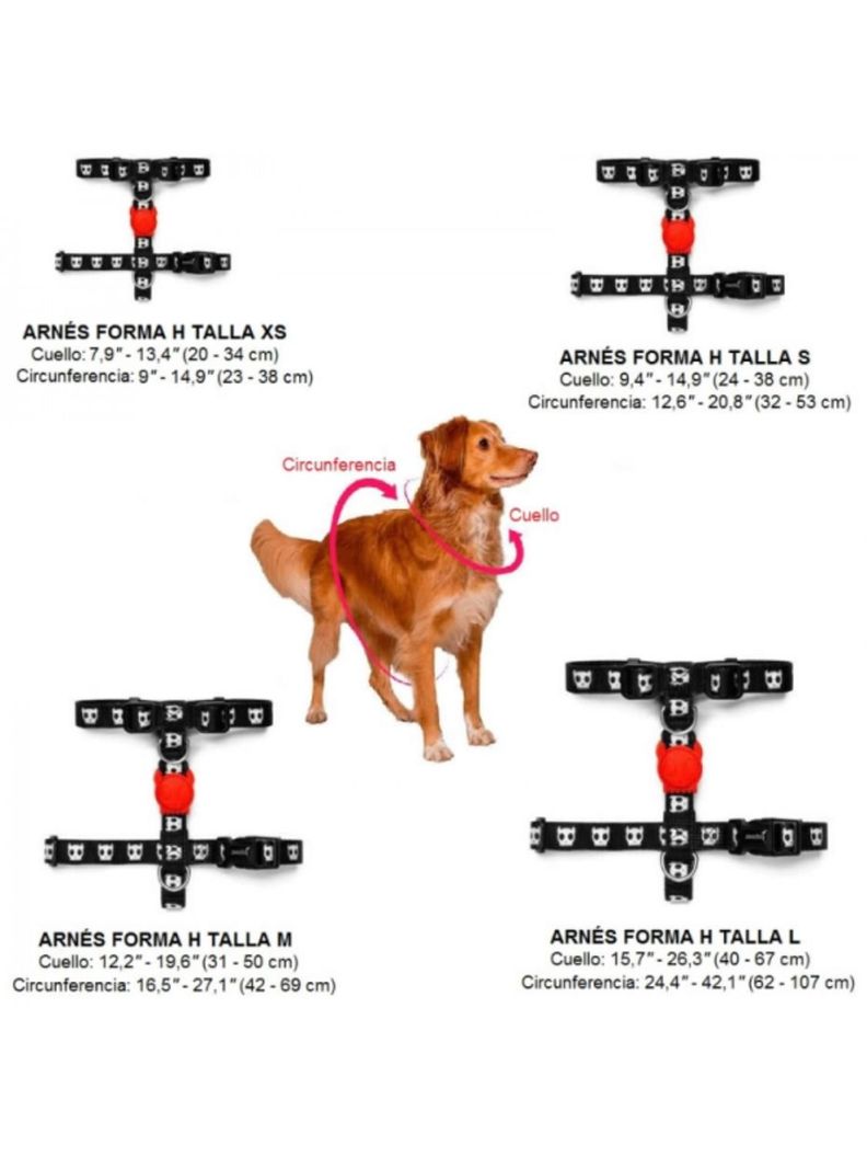 Arnes Zee Dog reforzado y ajustable para perros XS-3