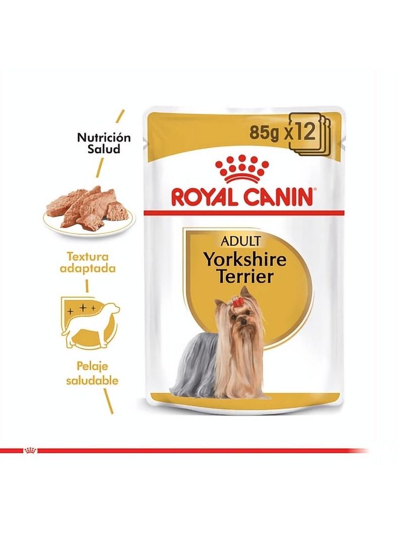 Alimento Royal Canin Yorkshire Terrier Adulto - Sobre De 85g-1