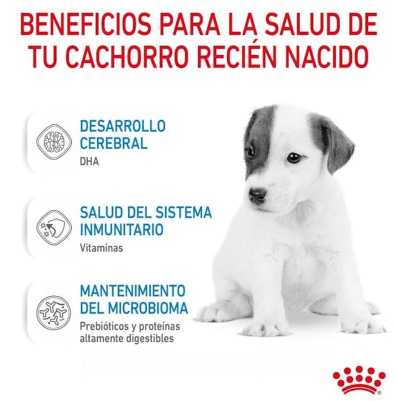 Alimento Royal Canin Baby Dog Milk 400 Gr - Leche para Perros-2