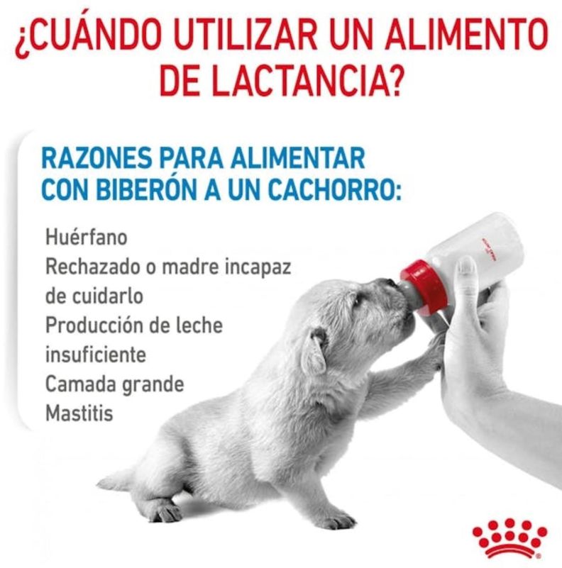 Alimento Royal Canin Baby Dog Milk 400 Gr - Leche para Perros-3