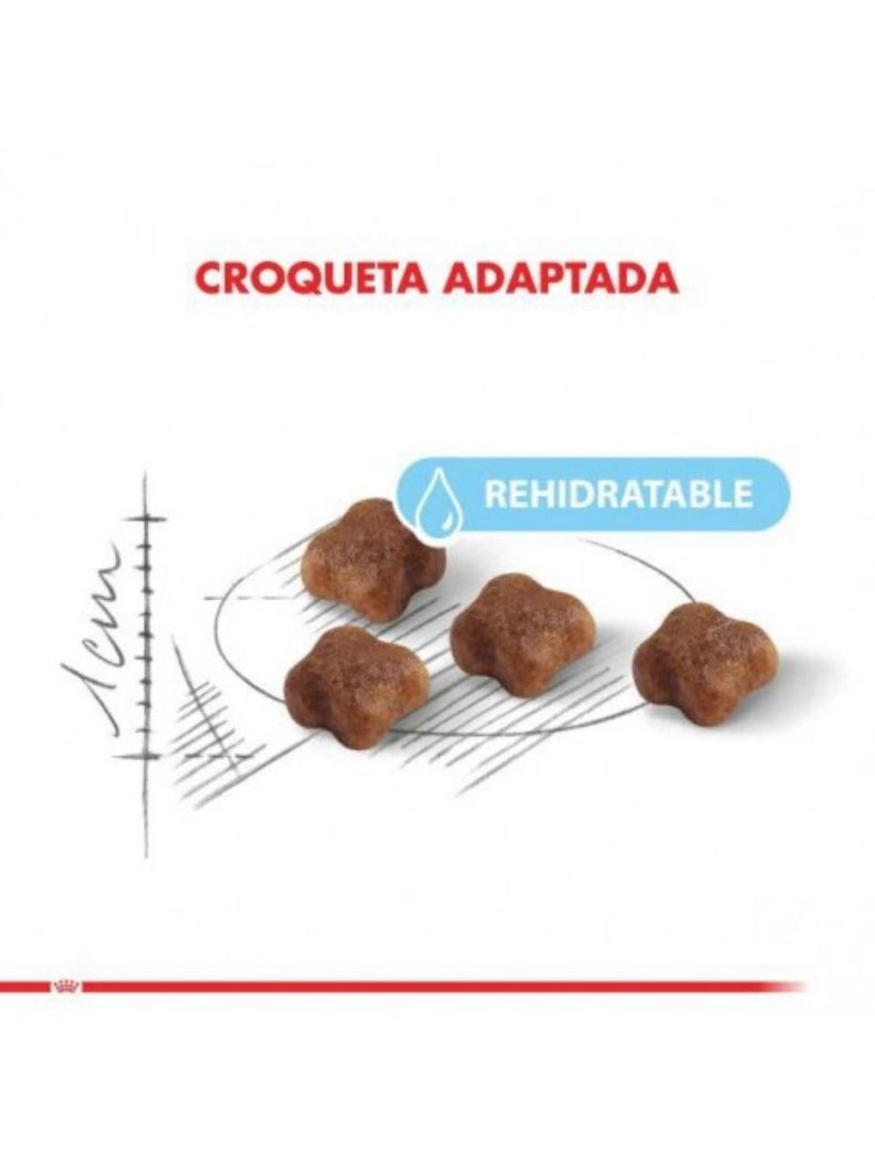 Royal Canin Alimento Para Gatito Mother And Babycat 1.5 Kg-1