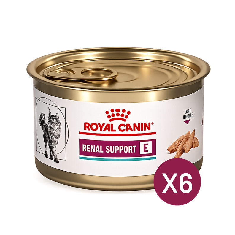 Royal Canin Renal Support Feline Lata 145 Gr | Pack 6 Latas Blanco 10