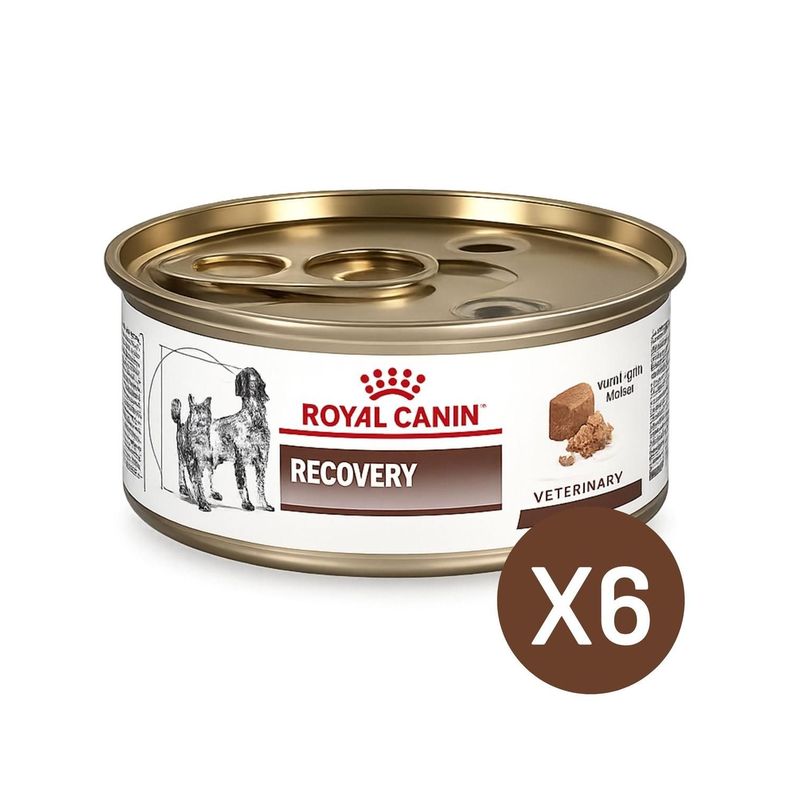 Royal Canin Recovery 145g Perro Gato Pack 6 Latas Blanco 10