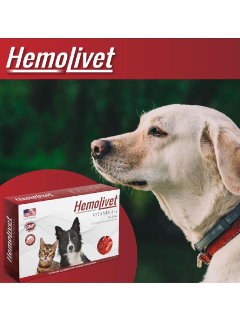Hemolivet Vitanimal - 30 Comprimidos-1