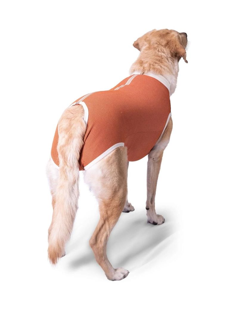 BODY COBRE KIMBA TRADICIONAL TALLA 12 (35 A 40 KG)-4