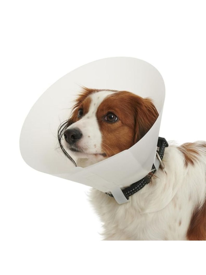 Collar Isabelino Para Mascotas Buster Classic 20 Cm-0