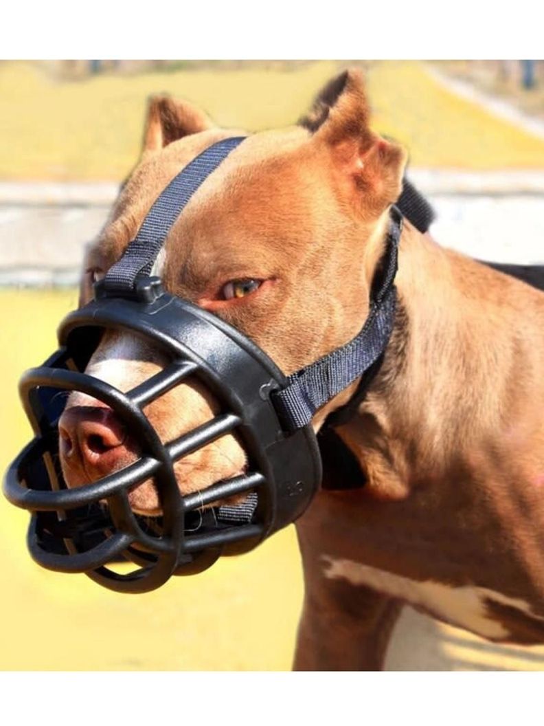 Bozal Reforzado de Silicona para Perros Talla XXL 12x12x15cm-5