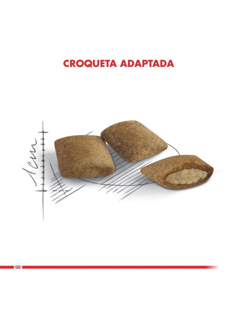 Alimento Royal Canin Feline Ageing 12+ 2.0 Kg-2