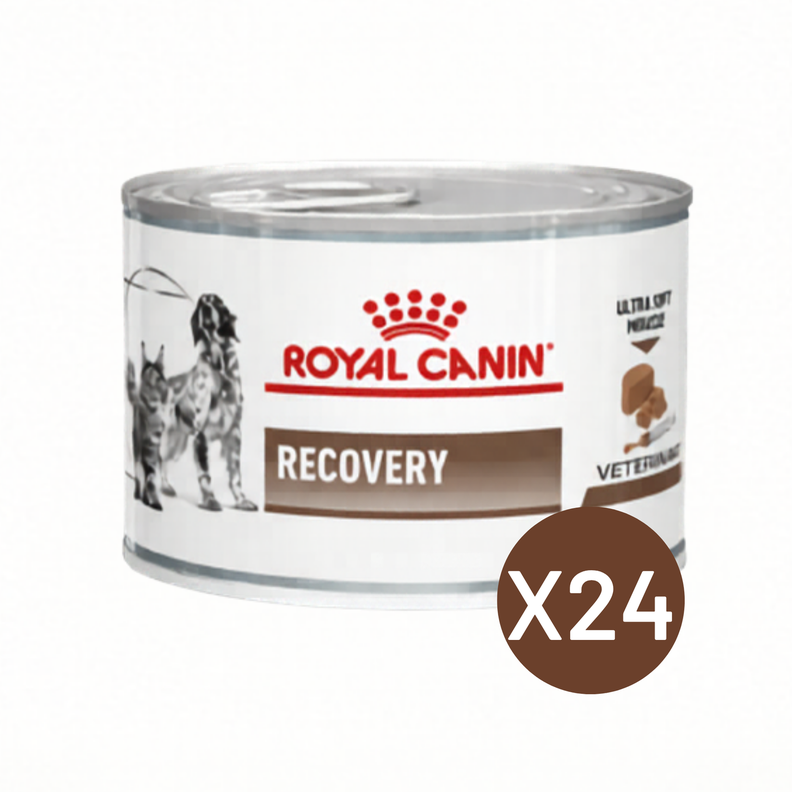 Royal Canin Recovery 145g Perro Gato Pack 24 Latas Blanco 10