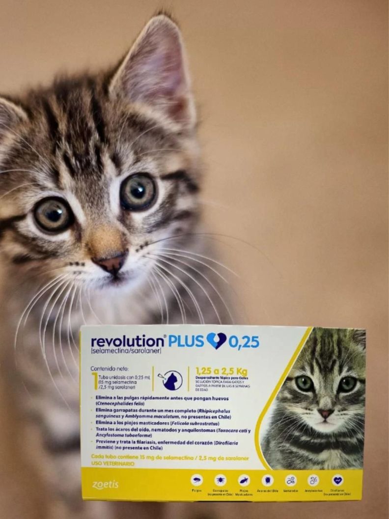 Antiparasitario Externo e Interno Zoetis Revolution Pus Gato (1.25 A 2.5 KG) 0.25 ML-2