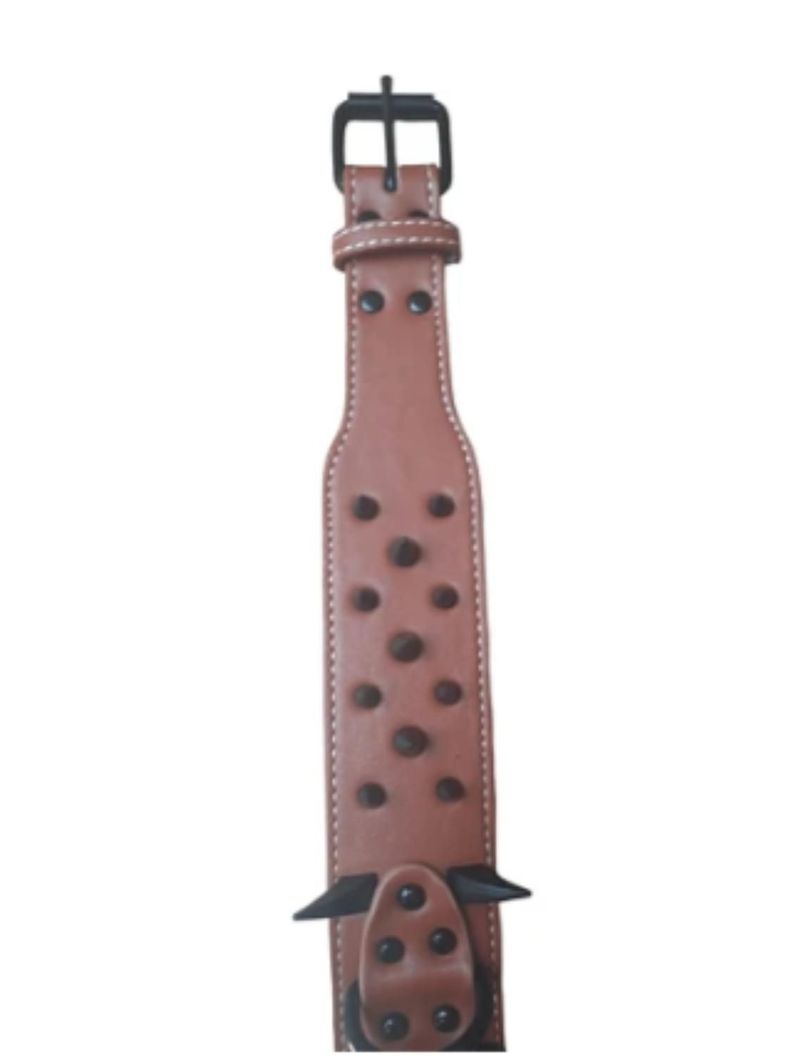 COLLAR DE PUAS REFORZADA PARA PERROS GRANDES - 60CM-4