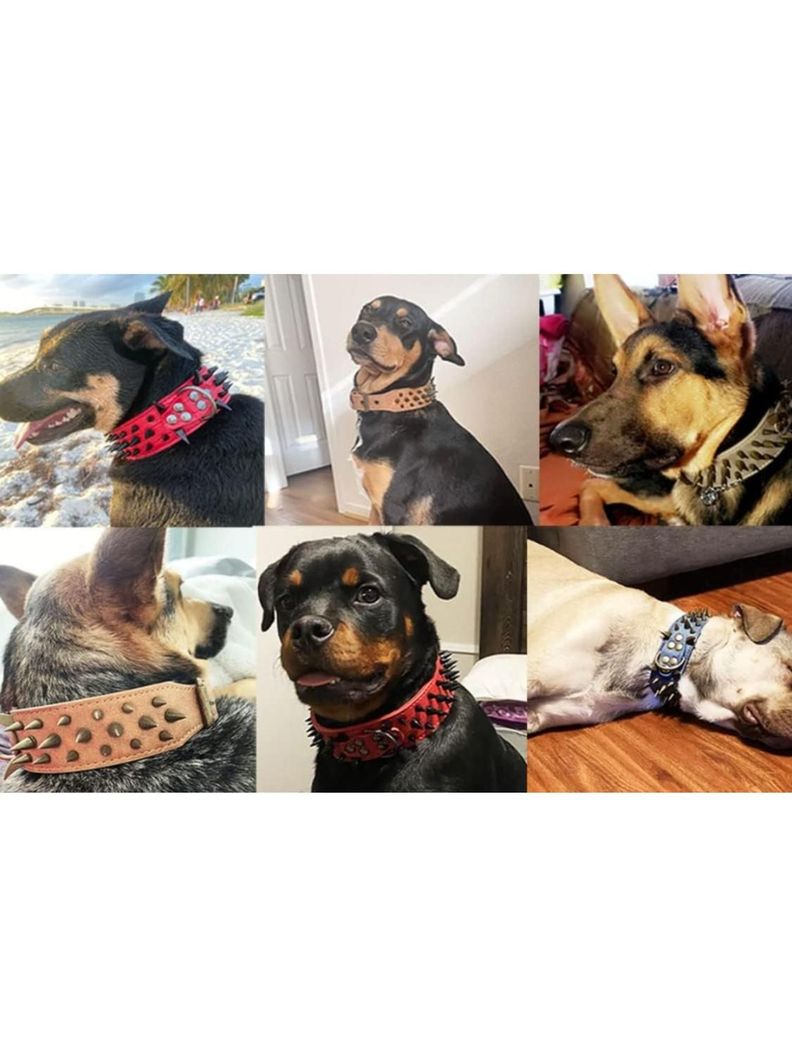 COLLAR DE PUAS REFORZADA PARA PERROS GRANDES - 60CM-7