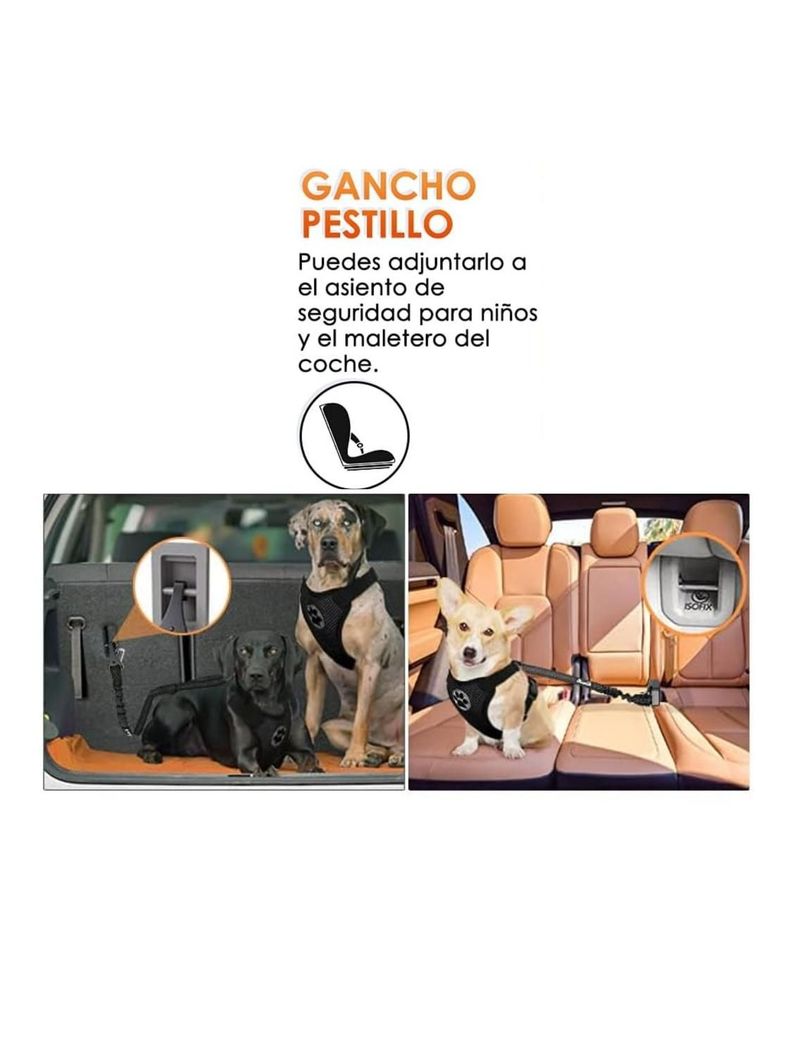 Correa de Seguridad reforzado para perros-1