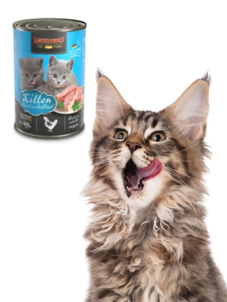 LEONARDO LATAS KITTEN - LATA 200 G ( 6 UNIDADES)-2