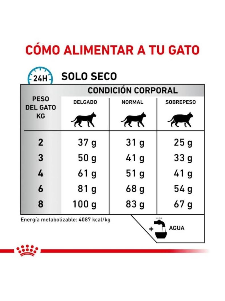 Alimento Royal Canin Para Gato Adulto Exigent 1.5 Kg-2