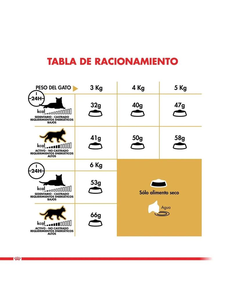 Alimento Royal Para Gato Adulto Persian 1.5kg-2