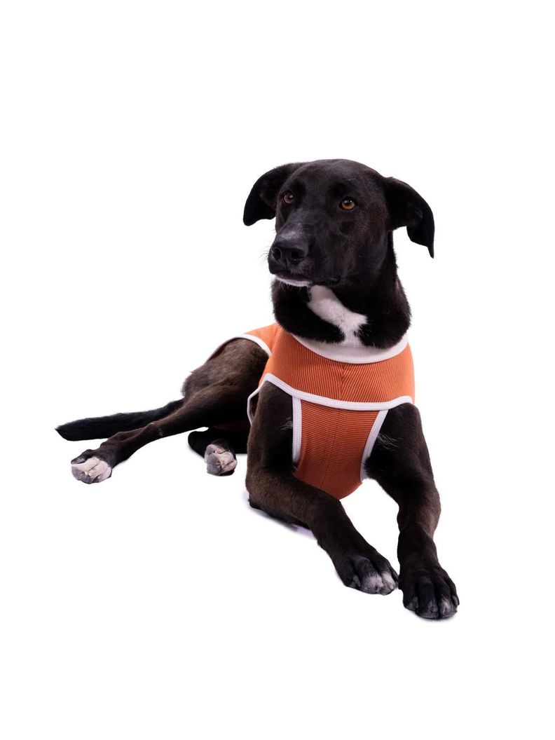 BODY COBRE KIMBA TRADICIONAL TALLA 7 (13 A 17 KG)-0