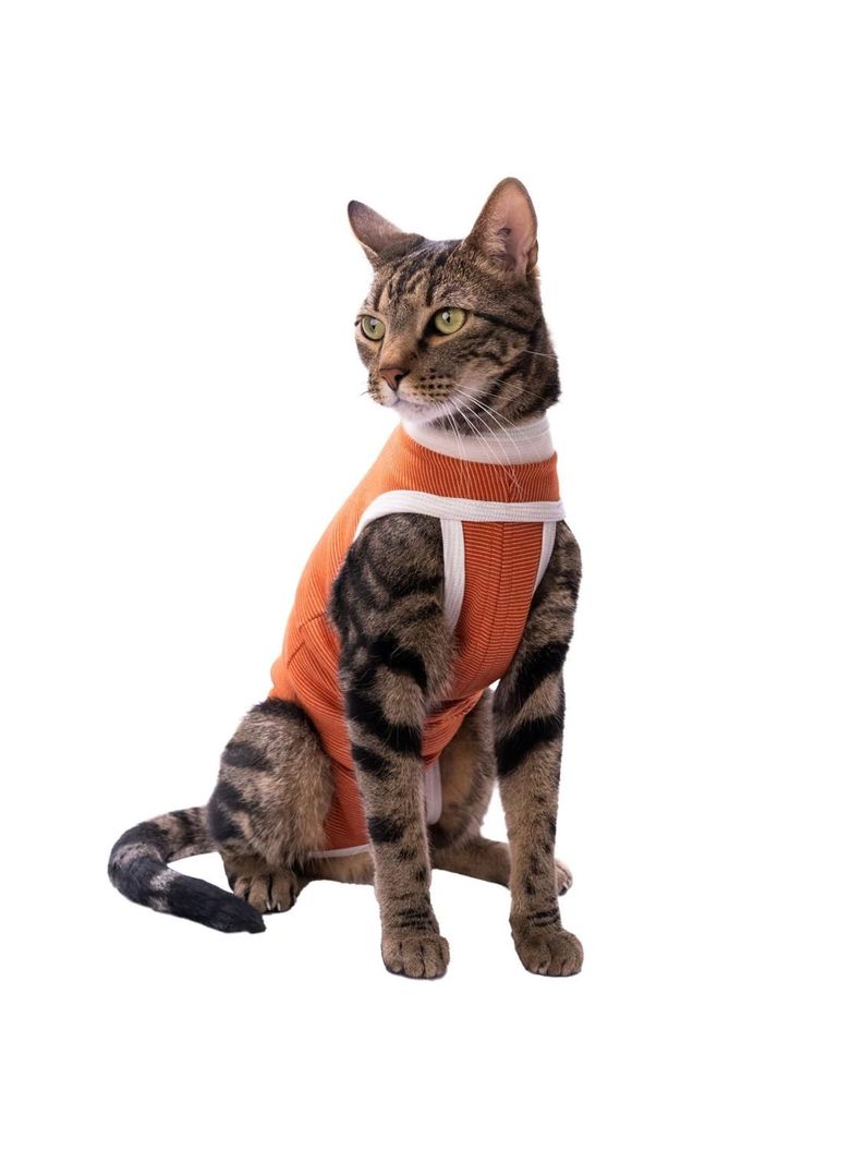 BODY COBRE KIMBA TRADICIONAL TALLA 7 (13 A 17 KG)-2