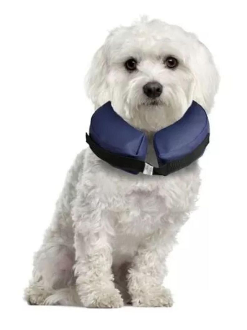 Collar Isabelino Inflable Para Mascotas Talla Xl-0