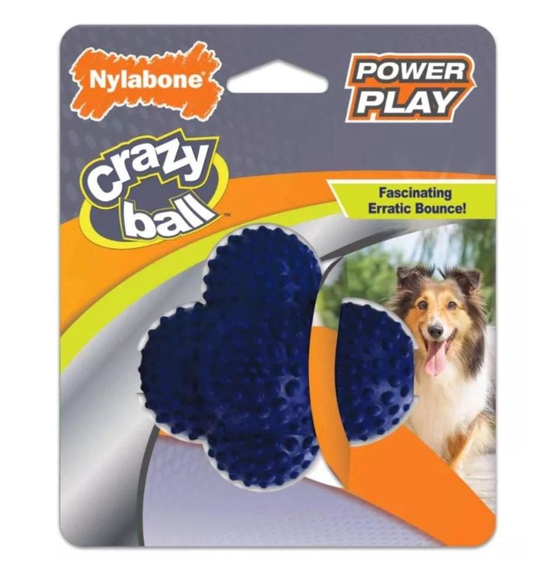 Juguete Para Perro Lanzador Nylabone Play Crazy Ball Talla L-0
