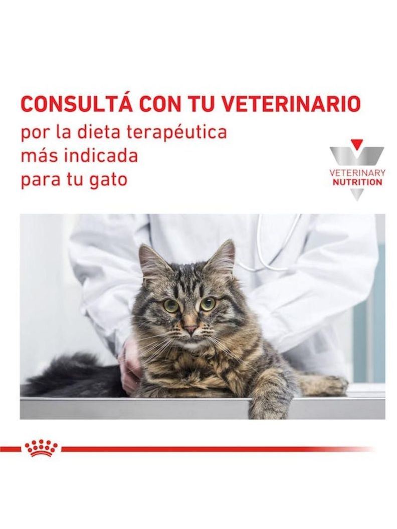 ALIMENTO ROYAL CANIN RENAL EARLY FELINE 1,5KG-4