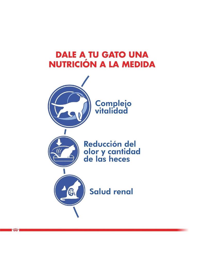 Alimento Royal Feline INDOOR 7+ Saco 1.5 kilo-1