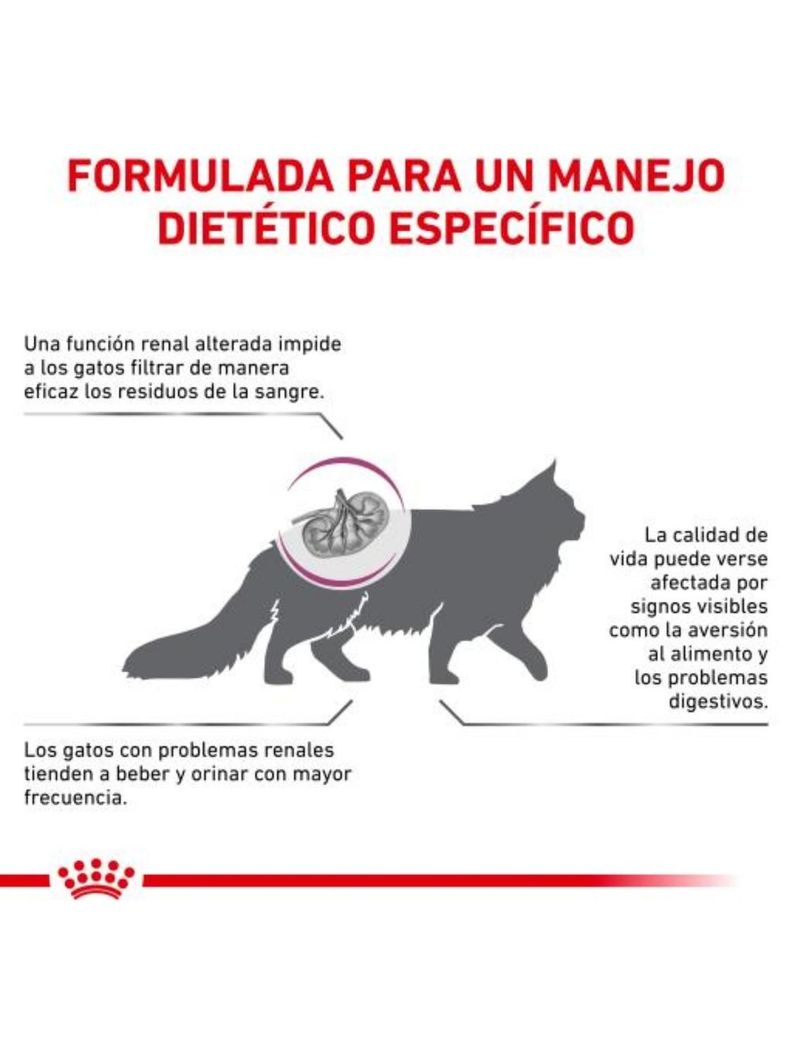Alimento Royal Feline Renal Saco 2 Kilo-1