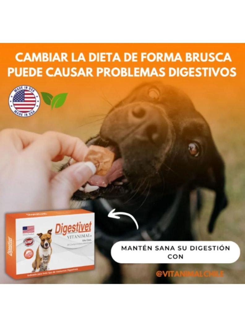 Digestivet - 10 Comprimidos-1