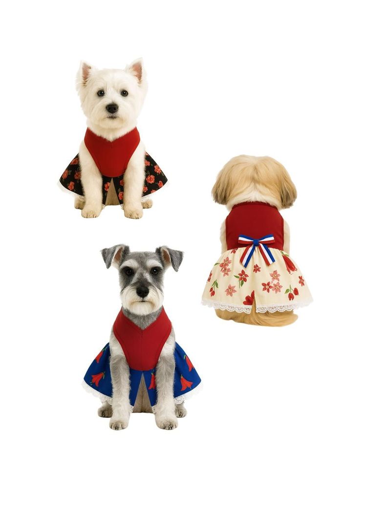 Vestido Huasa China para Perro Talla L | Fiestas Patrias Blanco 10
