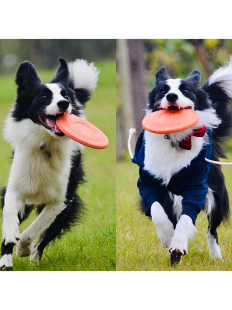Juguete Disco Volador frisbee goma eva para perros 23cm-4