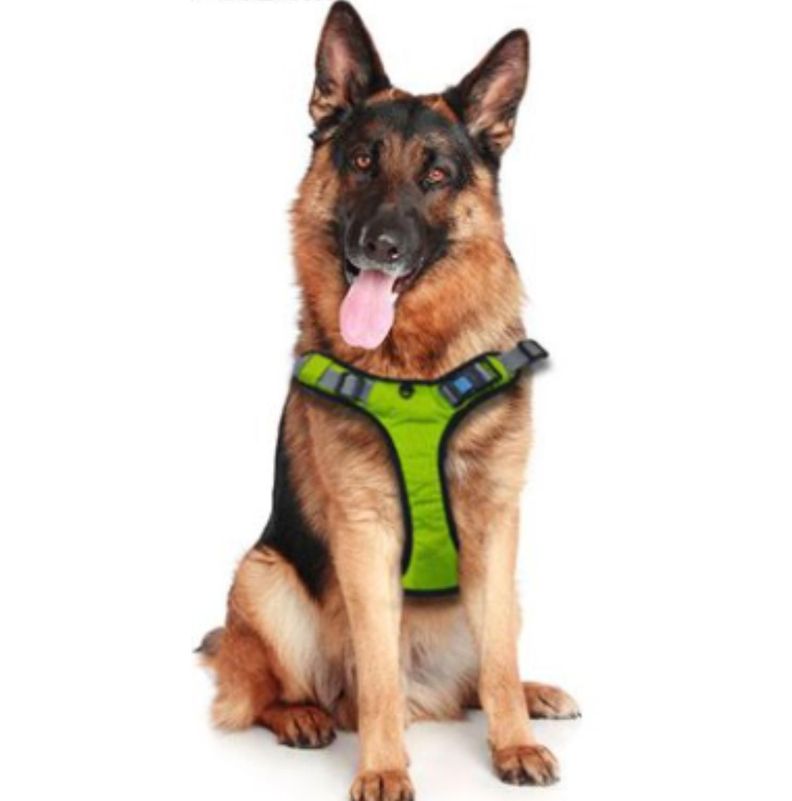 Arnes Pechera Reforzado Para Perro Police K9 - Talla L-1