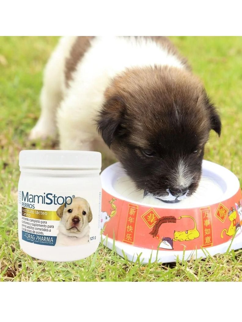 Alimento Leche para perro Cachorro Mami Stop 125Gr-1