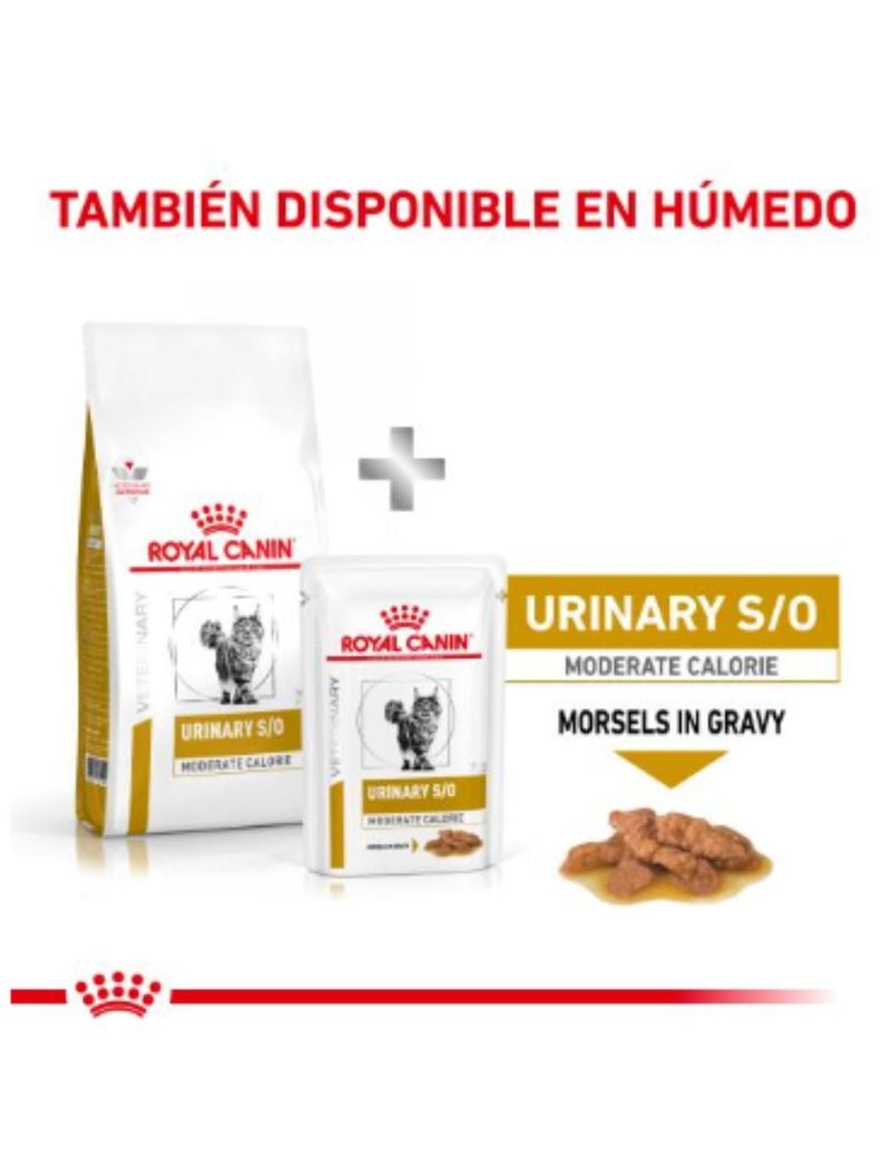 ALIMENTO ROYAL CANIN URINARY S/O FELINE 400GR-1