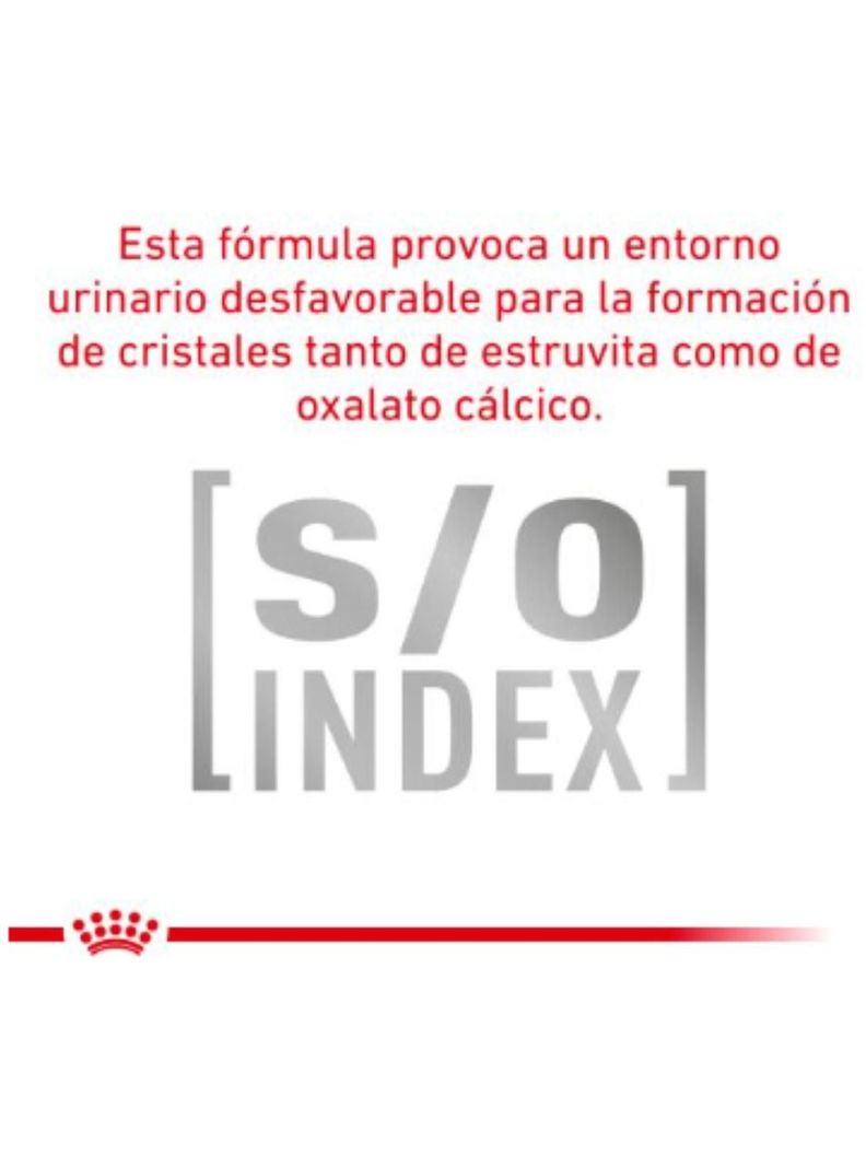 ALIMENTO ROYAL CANIN URINARY S/O FELINE 400GR-2