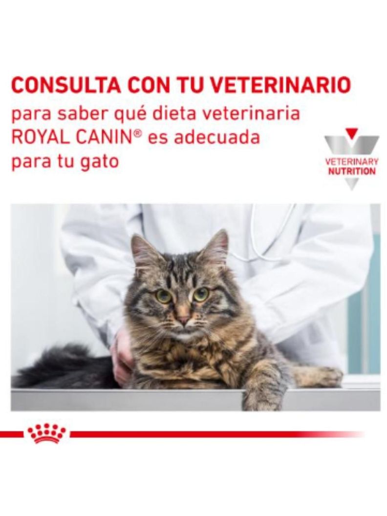 ALIMENTO ROYAL CANIN URINARY S/O FELINE 400GR-4