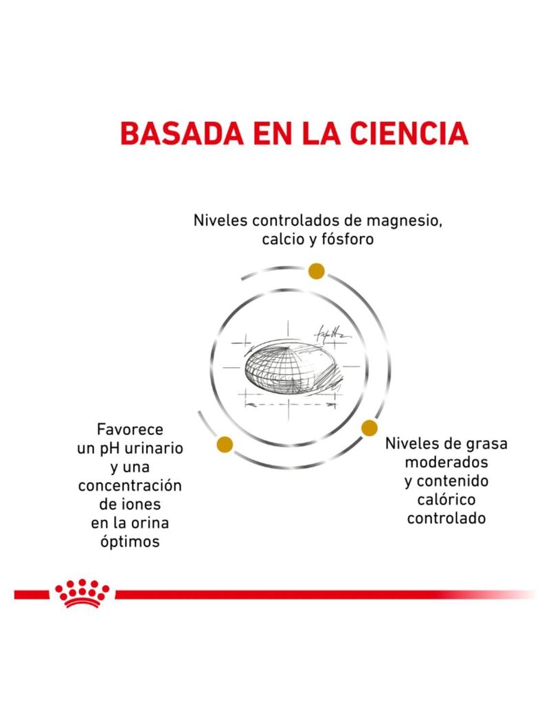 ALIMENTO ROYAL CANIN URINARY S/O FELINE 400GR-8