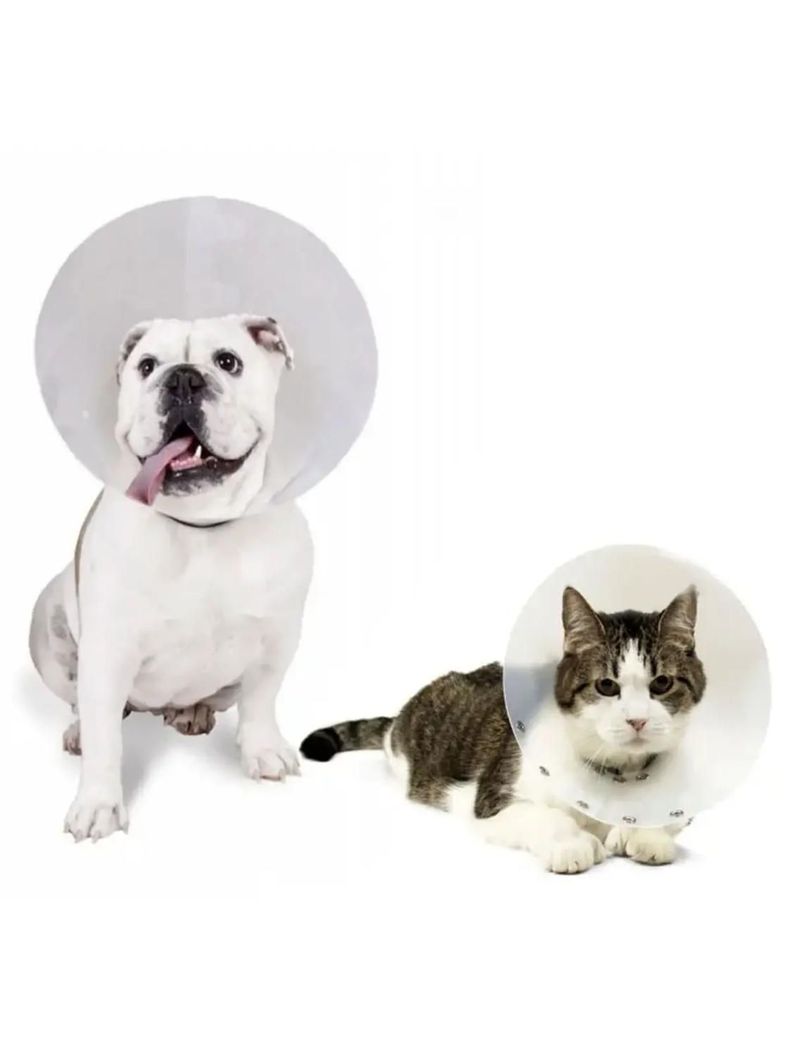 Collar Isabelino Para Mascotas Buster Classic 30 Cm-2