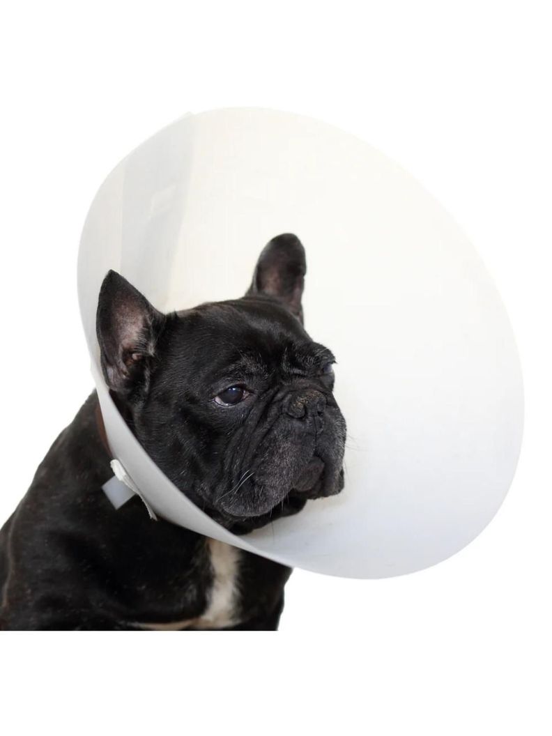 Collar Isabelino Para Mascotas Buster Classic 30 Cm-3
