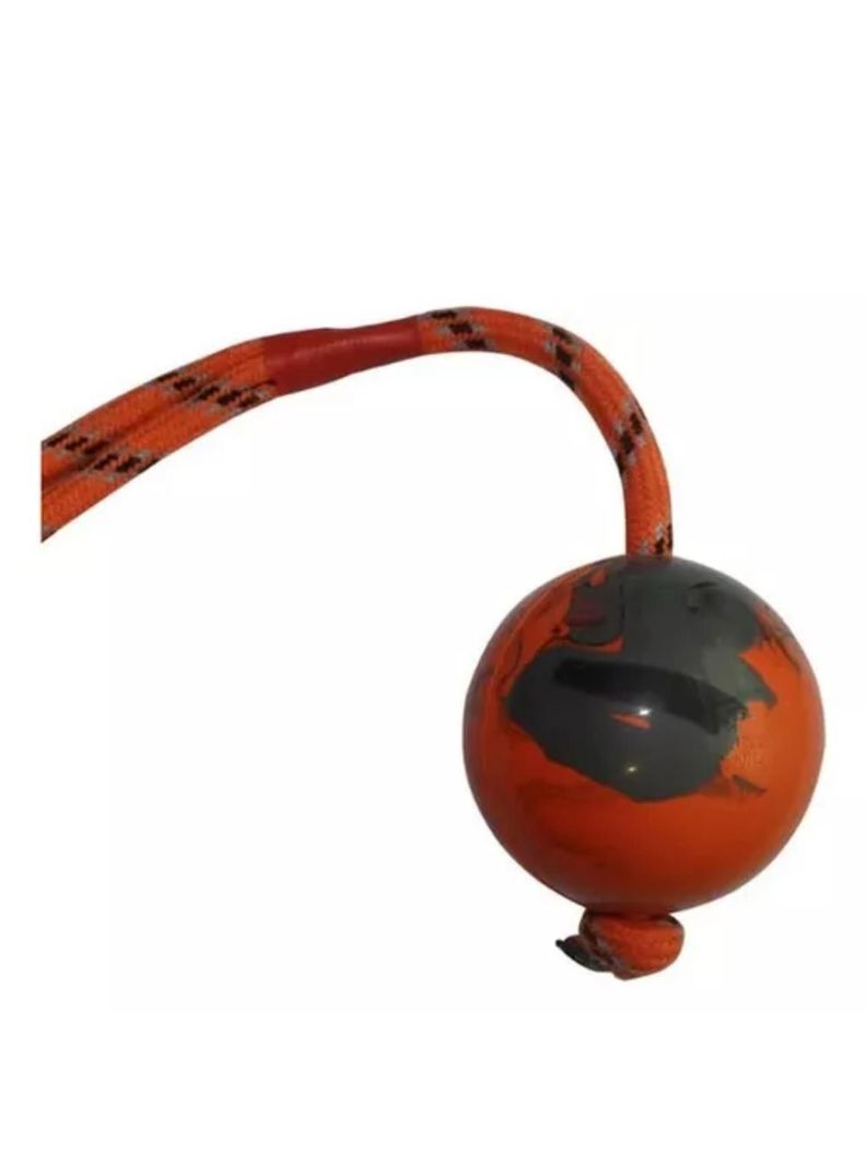 Juguete Pelota Rigida Con Cuerda para Perros-2