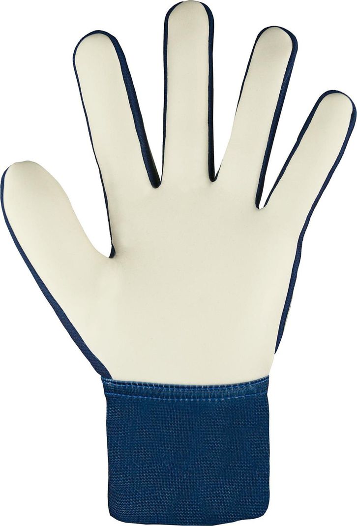 Guante Arquero Reusch Attrakt Starter Solid JR-2