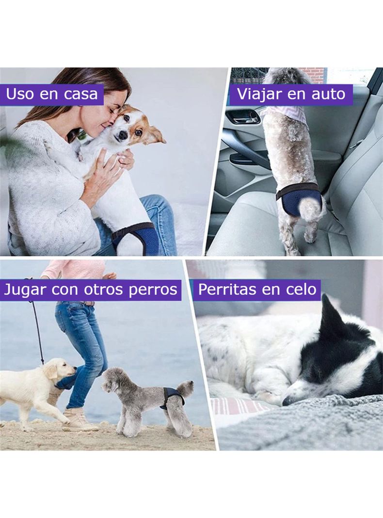 Calzones Para Celo Perritas Perras Sanitarios Transpirables
