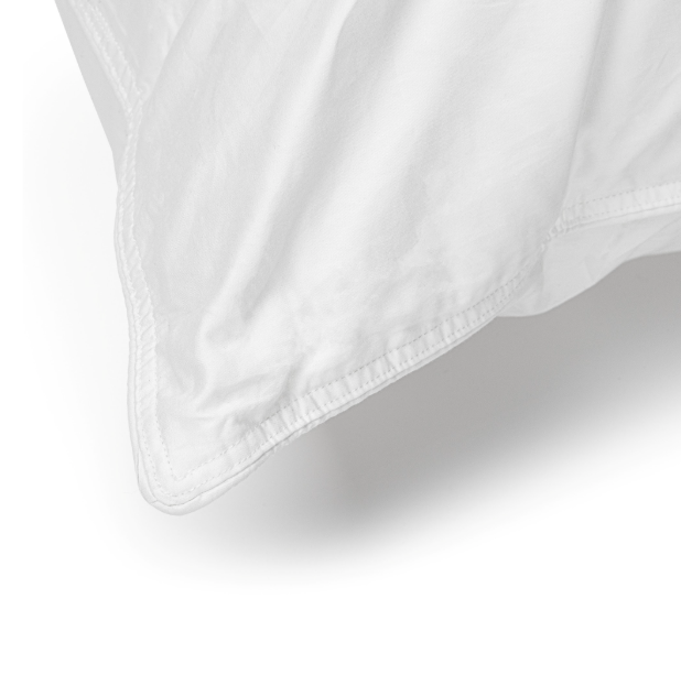 Almohadas 100% Plumas Ganso 50x90 Tricamaras-2