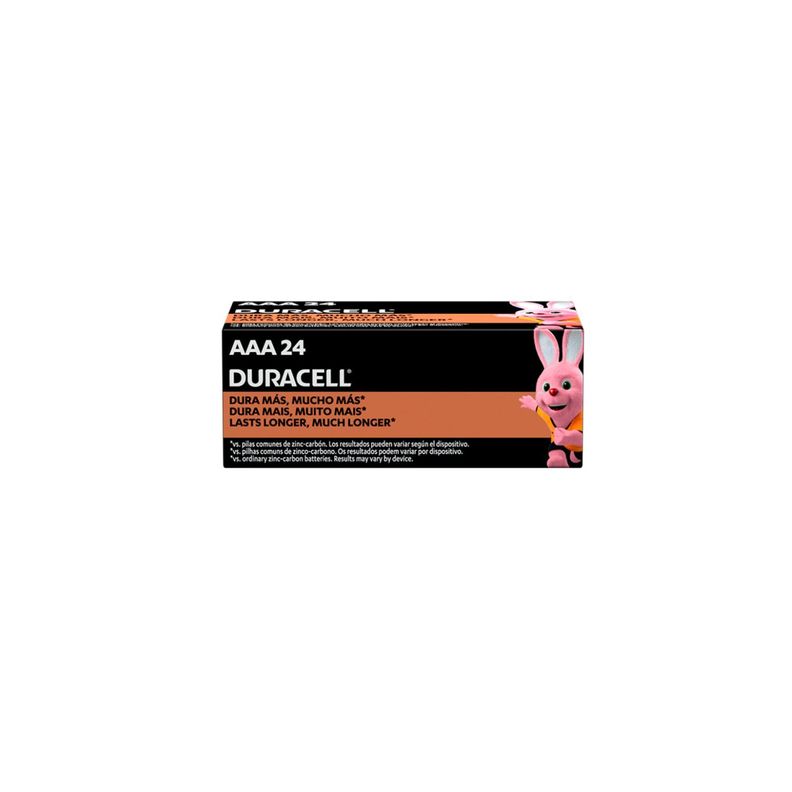 Pila Alcalina Duracell AAA x 24-2