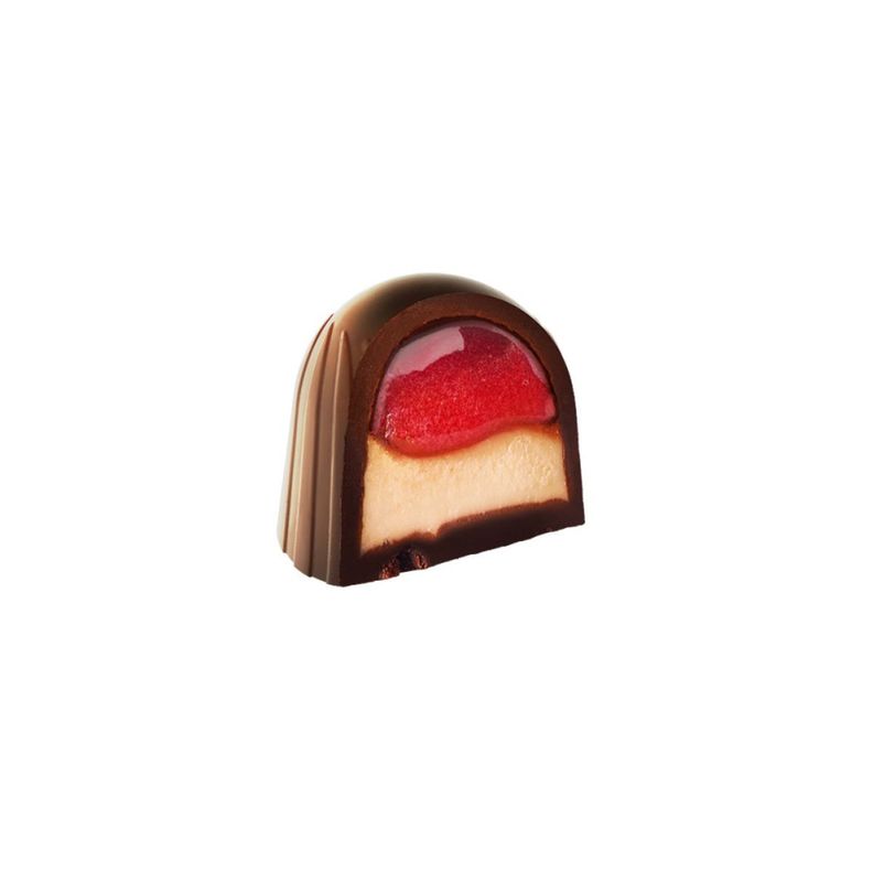 Bombón Chocolate panna cota Vobro 1kg-2