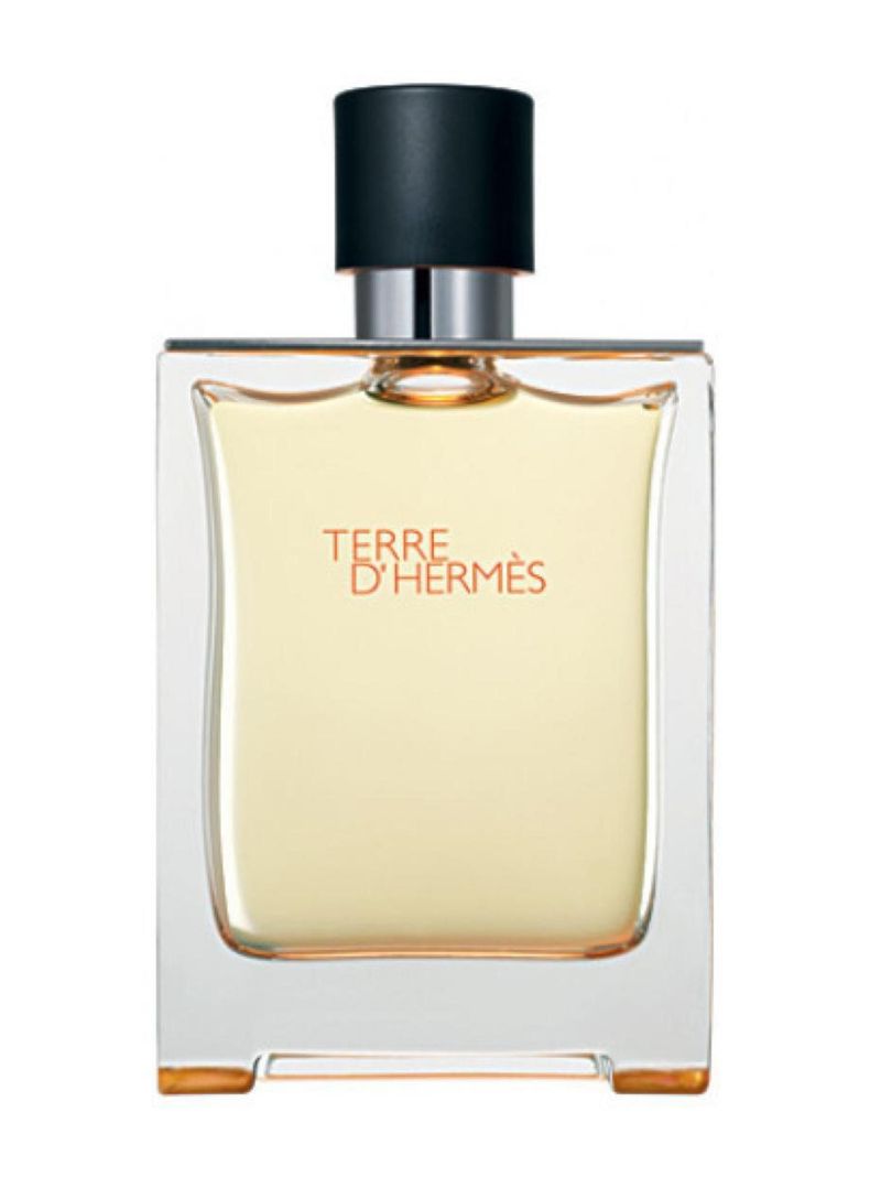 TERRE DE HERMES MEN EDT 100ML-1