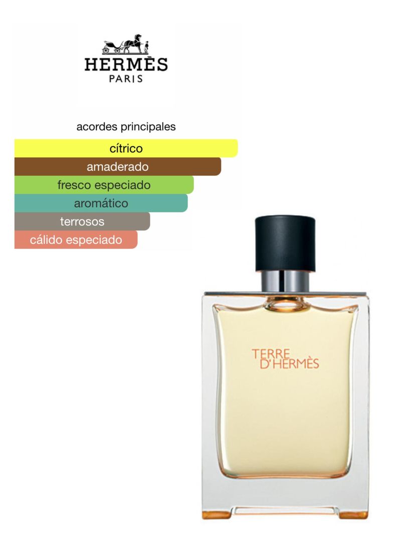TERRE DE HERMES MEN EDT 100ML-2