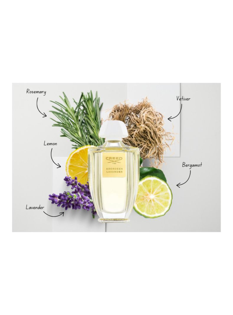 Creed Acqua Originale Aberdeen Lavander EDP 100 ml-2