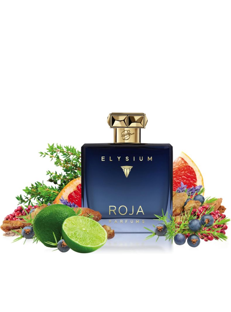 ROJA PARFUMS ROJA ELYSIUM POUR HOMME PARFUM COLOGNE 100ML-2